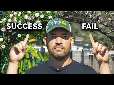 How Long Cut Flowers Final